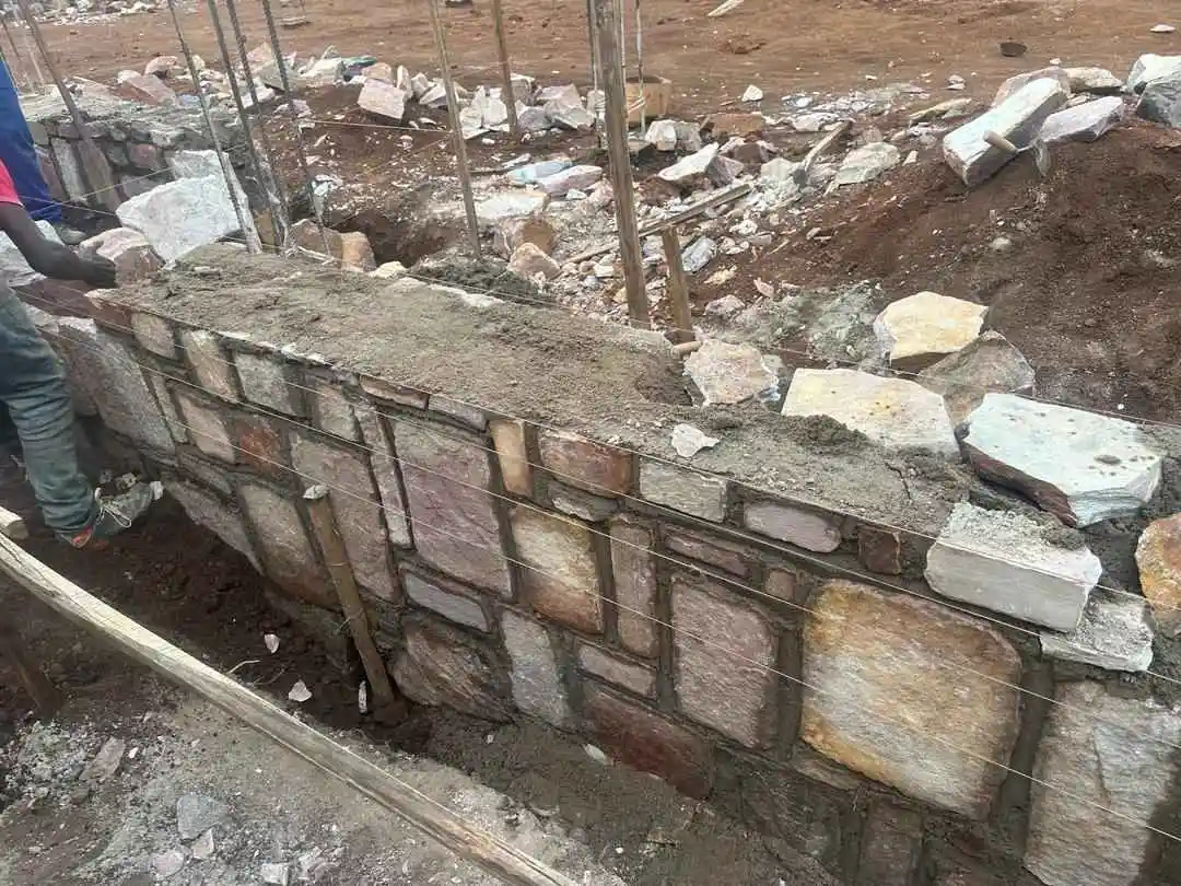 A boy surrounded by beautiful nature