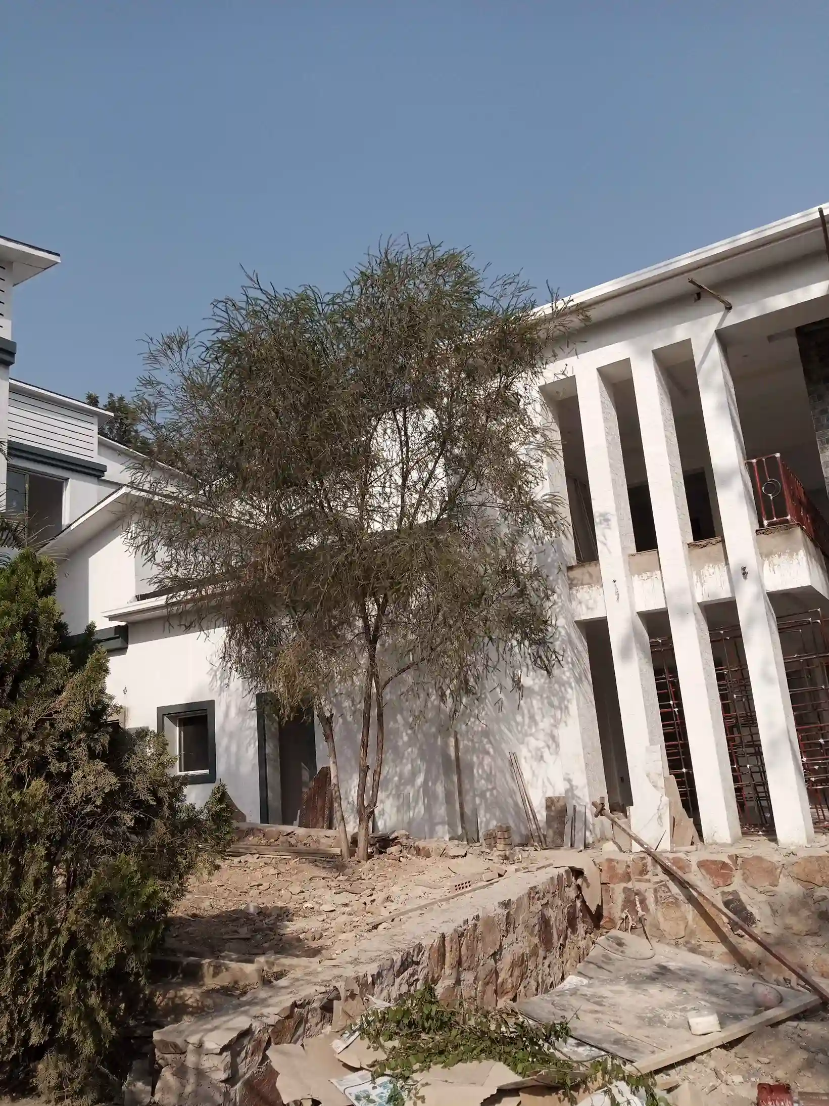 Nature again.. At its finest!